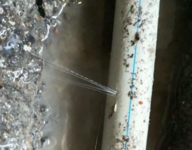 零陵测漏水哪家好