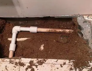 零陵测漏水哪家好