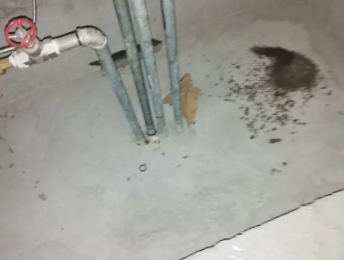 零陵卫生间测漏水价格明细