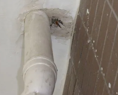 零陵漏水检测哪家好